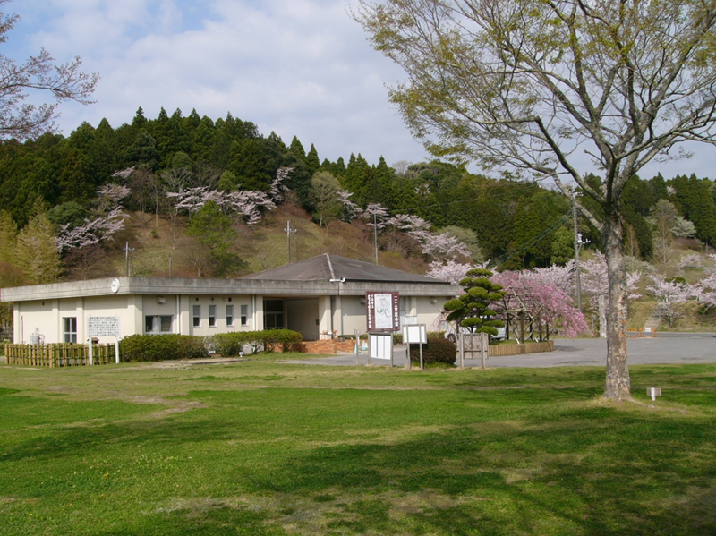 大多喜県民の森の様子